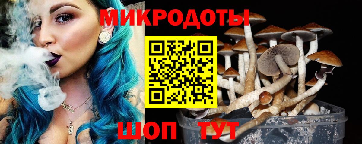 Галлюциногенные грибы мухоморы  Вход с VPN  Псилоцибиновые грибы Psilocybe  где купить   Нижнеудинск 